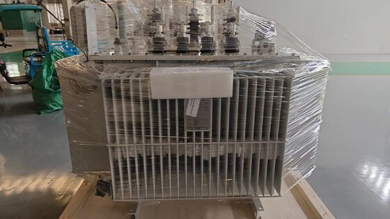 800 kVA Oil Immersed Power Transformer with ONAN Cooling and IEC60076 Standard for Industrial Distribution